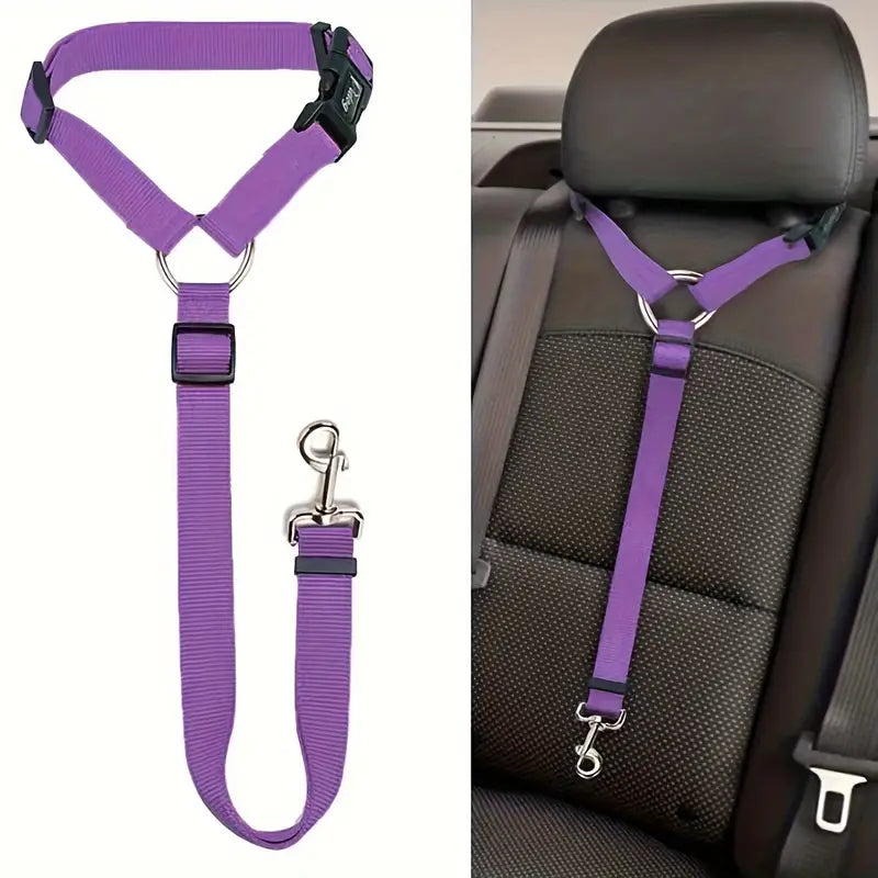 Ceinture de sécurité pour chien