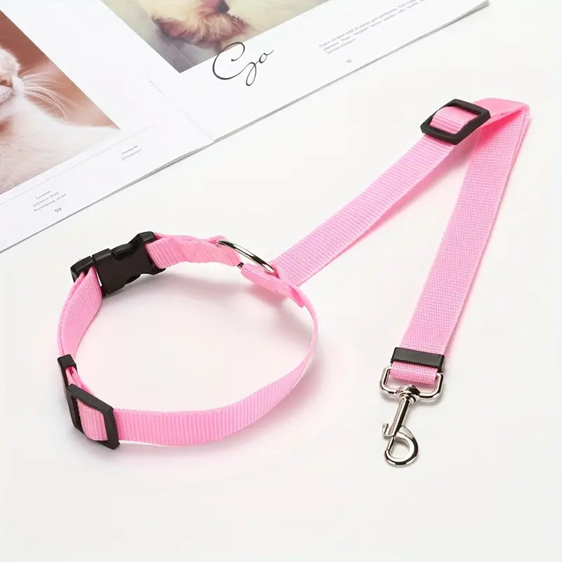 Ceinture de sécurité pour chien