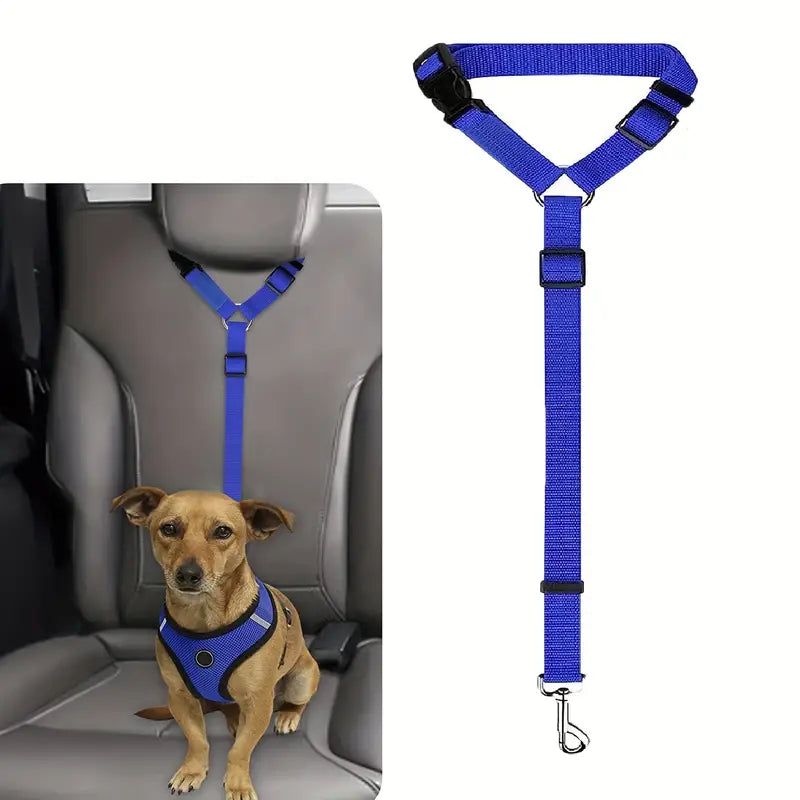 Ceinture de sécurité pour chien