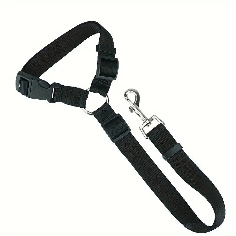 Ceinture de sécurité pour chien