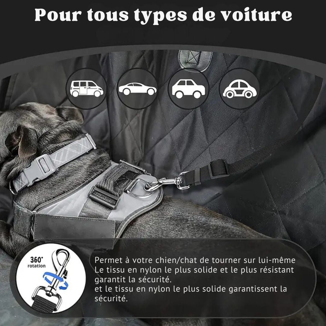 Ceinture de sécurité pour chien Home & Nature 