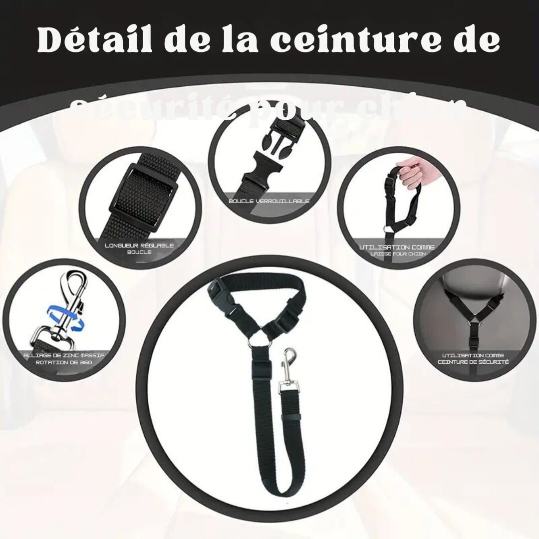 Ceinture de sécurité pour chien Home & Nature 